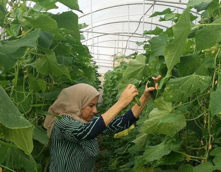 The National Bank and SANAD partner to support MSMEs and low-income households in Palestine